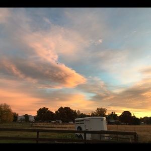 Meet your Posher, Ellie